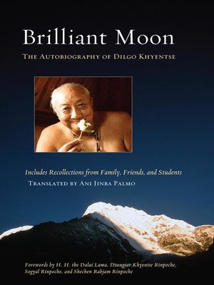 cover image of Brilliant Moon